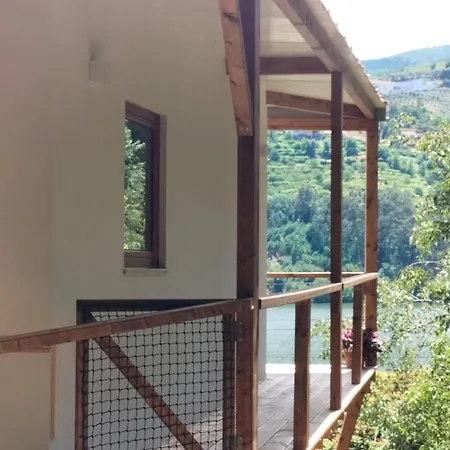 Private Pool Douro River View * Covelas (Porto)